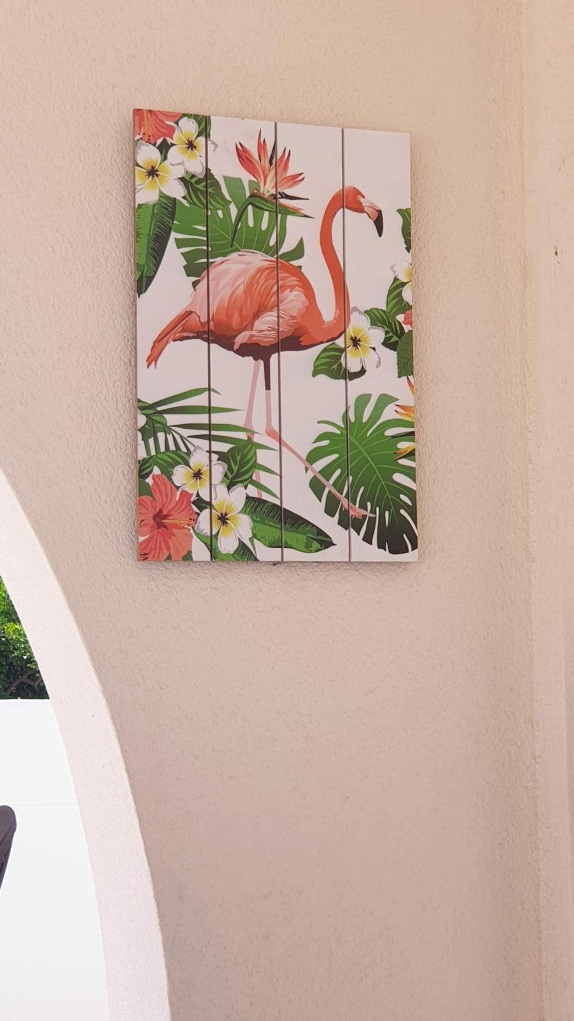 Flamingo Vila Alicante 산페드로델피나타르 외부 사진